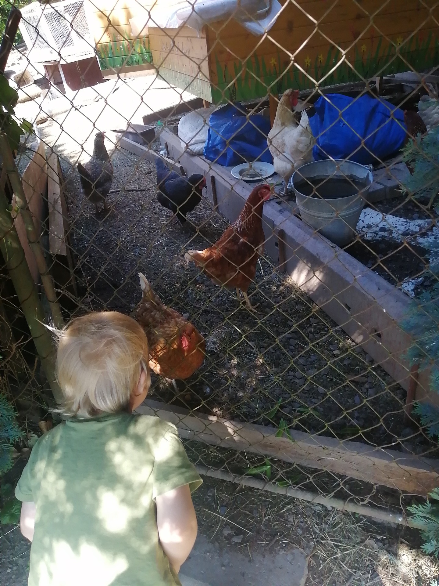 Milujeme zvířátka